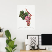 Antike botanische Illustration Poster (Heimbüro)