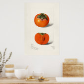 Antike botanische Illustration Poster (Küche)