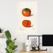 Antike botanische Illustration Poster (Heimbüro)