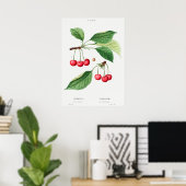 Antike botanische Illustration Poster (Heimbüro)