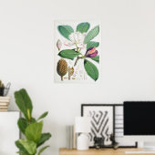 Antike botanische Illustration Poster (Heimbüro)