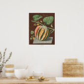 Antike botanische Illustration Poster (Küche)