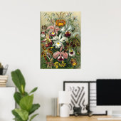 Antike botanische Illustration Poster (Heimbüro)