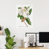 Antike botanische Illustration Poster (Heimbüro)
