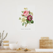 Antike botanische Illustration Poster (Küche)