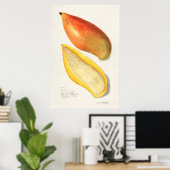 Antike botanische Illustration Poster (Heimbüro)