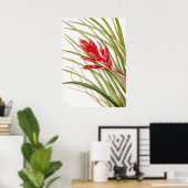 Antike botanische Illustration Poster (Heimbüro)
