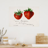 Antike botanische Illustration Poster (Küche)