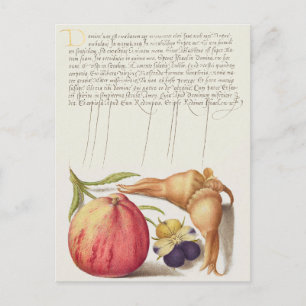 Antike botanische Illustrations-Weihnachtskarte Feiertagspostkarte