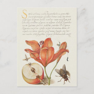 Antike botanische Illustrations-Weihnachtskarte Feiertagspostkarte