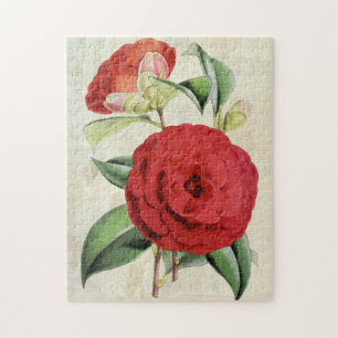 Antike botanische karmesinrote Kamelie Puzzle