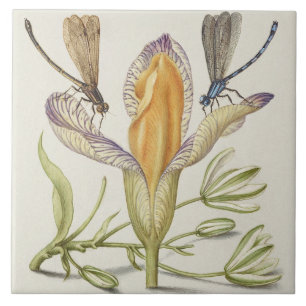 Antike botanische Keramikfliese