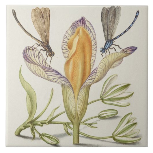 Antike botanische Keramikfliese (Vorderseite)