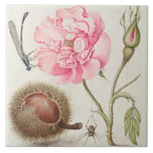 Antike botanische Keramikfliese