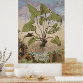 Antike botanische Kunst Hemionite Fern Poster (Küche)