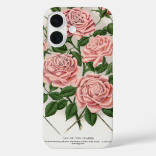 Antike Botanische Kunst Rosa Rose Cottagecore Stil iPhone 16 Hülle