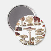 Antike Botanische Pilze Magnet (Vorderseite/Rückseite)