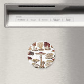 Antike Botanische Pilze Magnet (In Situ (Geschirrspüler))