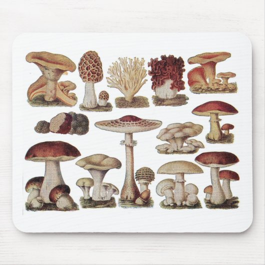 Antike Botanische Pilze Mousepad (Vorne)