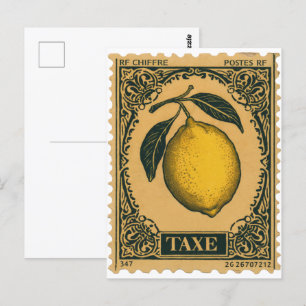 Antike botanische Postkarte mit Zitrone