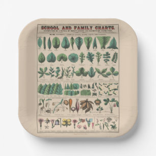 Antike botanische Schultafel Vintage Natur Pappteller