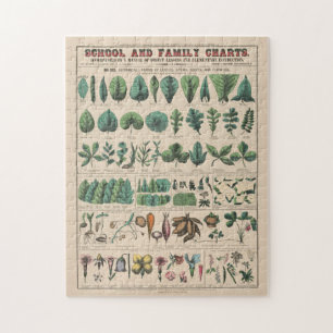 Antike botanische Schultafel Vintage Natur Puzzle