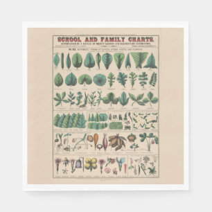 Antike botanische Schultafel Vintage Natur Serviette