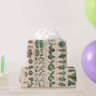Antike botanische Schulwandtafel Vintage Natur Geschenkpapier