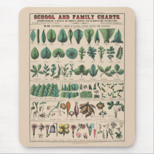 Antike botanische Schulwandtafel Vintage Natur Mousepad
