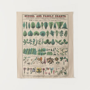 Antike botanische Schulwandtafel Vintage Natur Wandteppich