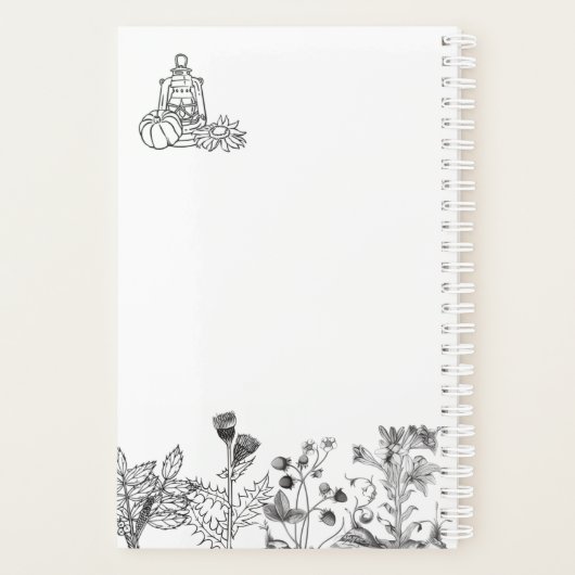 Antike botanische Schwarzweißfotografie Planer (Rückseite)