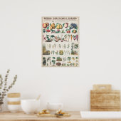 Antike botanische Tafel Poster (Küche)