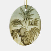 Antike Brotfrüchte Brotfruchtbaum Altilis Keramikornament (Rechts)