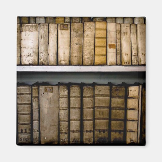 Antike Bücher aus dem 17. Jahrhundert Vellum Bindu Magnet (Vorne)