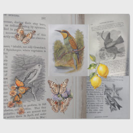 Antike Bücher, Vögel und Schmetterlinge Geschenkpapier