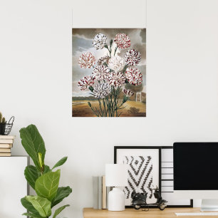 Antike buntgefleckte Nelken mit grauem Himmel Poster