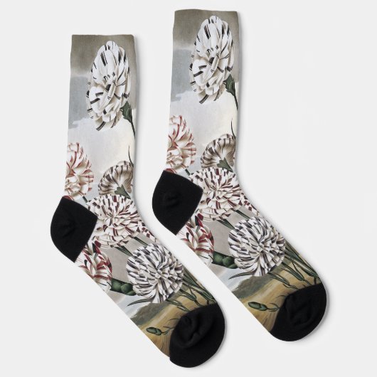 Antike buntgefleckte Nelken mit grauem Himmel Socken (Rechts)