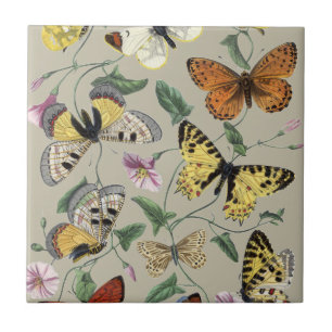 Antike Butterfly Moth Botanische Blumenkunst 1842 Fliese