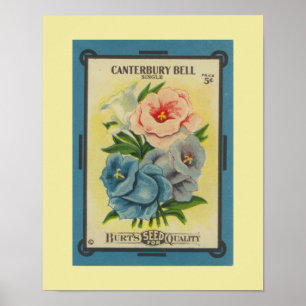 Antike Canterbury Bells Poster