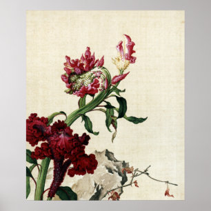 Antike Chinoiserie Rote Hahnenkamm-Blumen-Kunst Poster