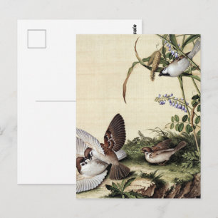 Antike Chinoiserie Spatzen und violette Blumen Postkarte