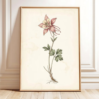 Antike Columbine-Botanik-Farmhouse-Kunst Poster