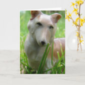 Antike Corgi Karte (Gelbe Blume)