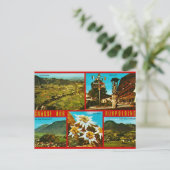 Antike deutsche Postkarte (Stehend Vorderseite)