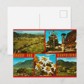 Antike deutsche Postkarte (Vorne/Hinten)
