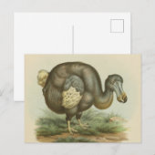 Antike Dodo Bird Naturgeschichte Postkarte (Vorne/Hinten)
