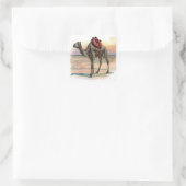 Antike Dromedary Kamel Illustration Quadratischer Aufkleber (Tasche)
