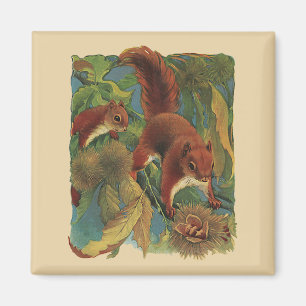 Antike Eichhörnchen, Waldtiere, Wilde Tiere Magnet
