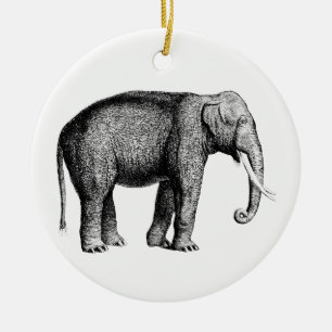 Antike Elefantenzeichnung Keramik Ornament