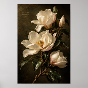 Antike Elfenbein-Magnolie Dunkle Florale Wandkunst Poster